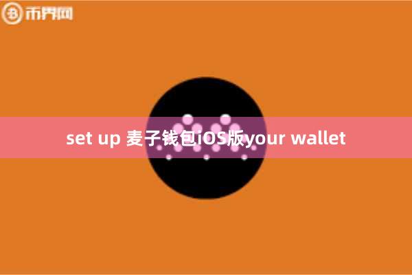set up 麦子钱包iOS版your wallet