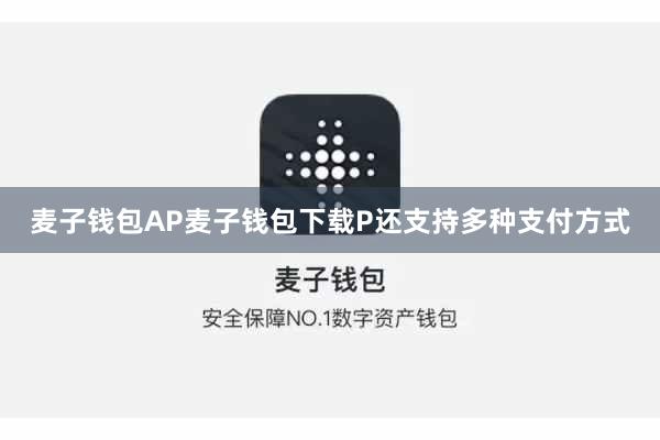 麦子钱包AP麦子钱包下载P还支持多种支付方式