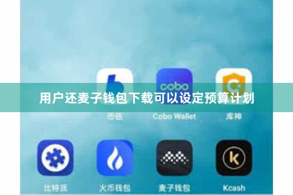 用户还麦子钱包下载可以设定预算计划