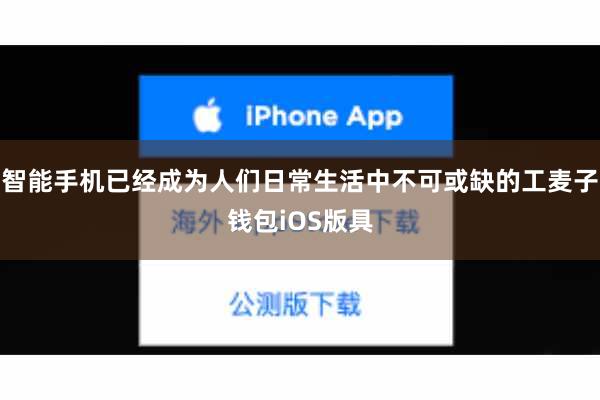 智能手机已经成为人们日常生活中不可或缺的工麦子钱包iOS版具