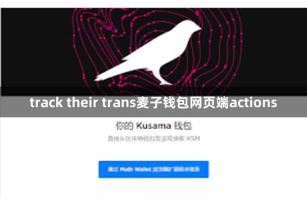 track their trans麦子钱包网页端actions