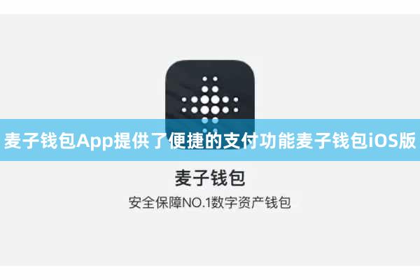 麦子钱包App提供了便捷的支付功能麦子钱包iOS版