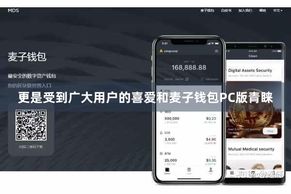 更是受到广大用户的喜爱和麦子钱包PC版青睐