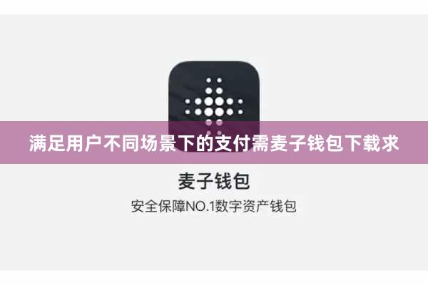 满足用户不同场景下的支付需麦子钱包下载求