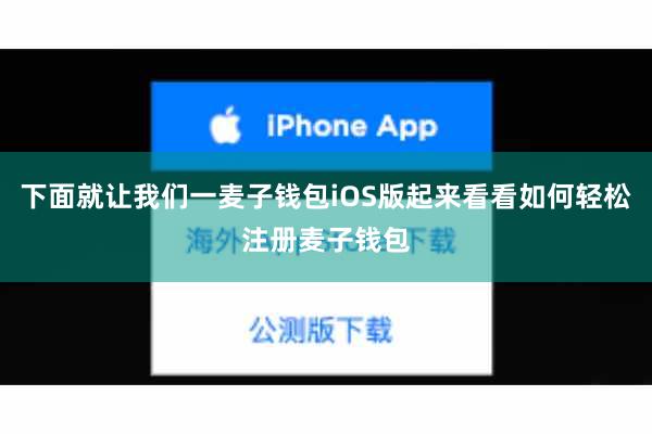 下面就让我们一麦子钱包iOS版起来看看如何轻松注册麦子钱包