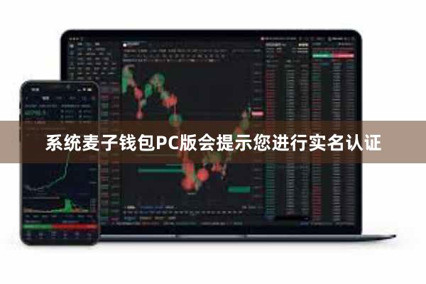 系统麦子钱包PC版会提示您进行实名认证