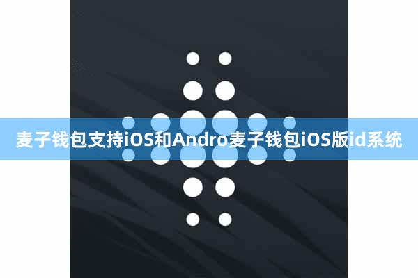 麦子钱包支持iOS和Andro麦子钱包iOS版id系统