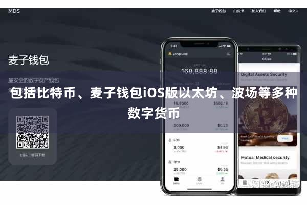包括比特币、麦子钱包iOS版以太坊、波场等多种数字货币