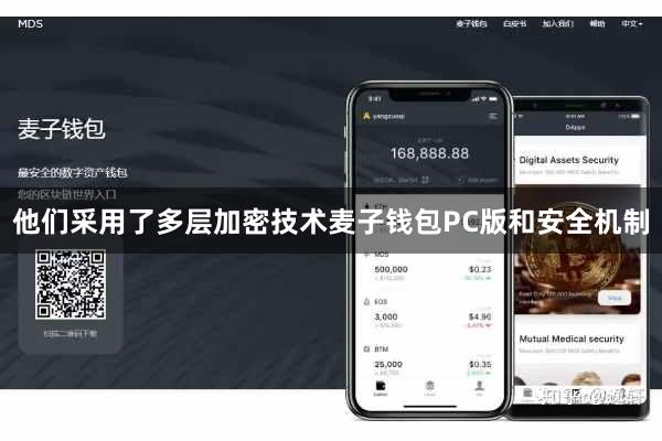 他们采用了多层加密技术麦子钱包PC版和安全机制